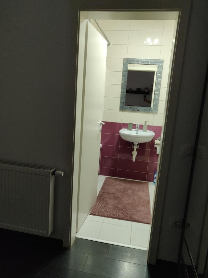 Avangarden Apartment براشوف المظهر الخارجي الصورة